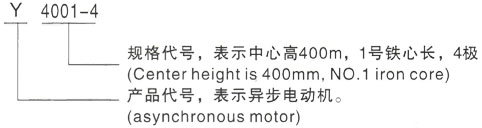 西安泰富西玛Y系列(H355-1000)高压YJTG-355M2-10A/110KW三相异步电机型号说明