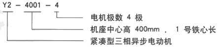 YR系列(H355-1000)高压YJTG-355M2-10A/110KW三相异步电机西安西玛电机型号说明